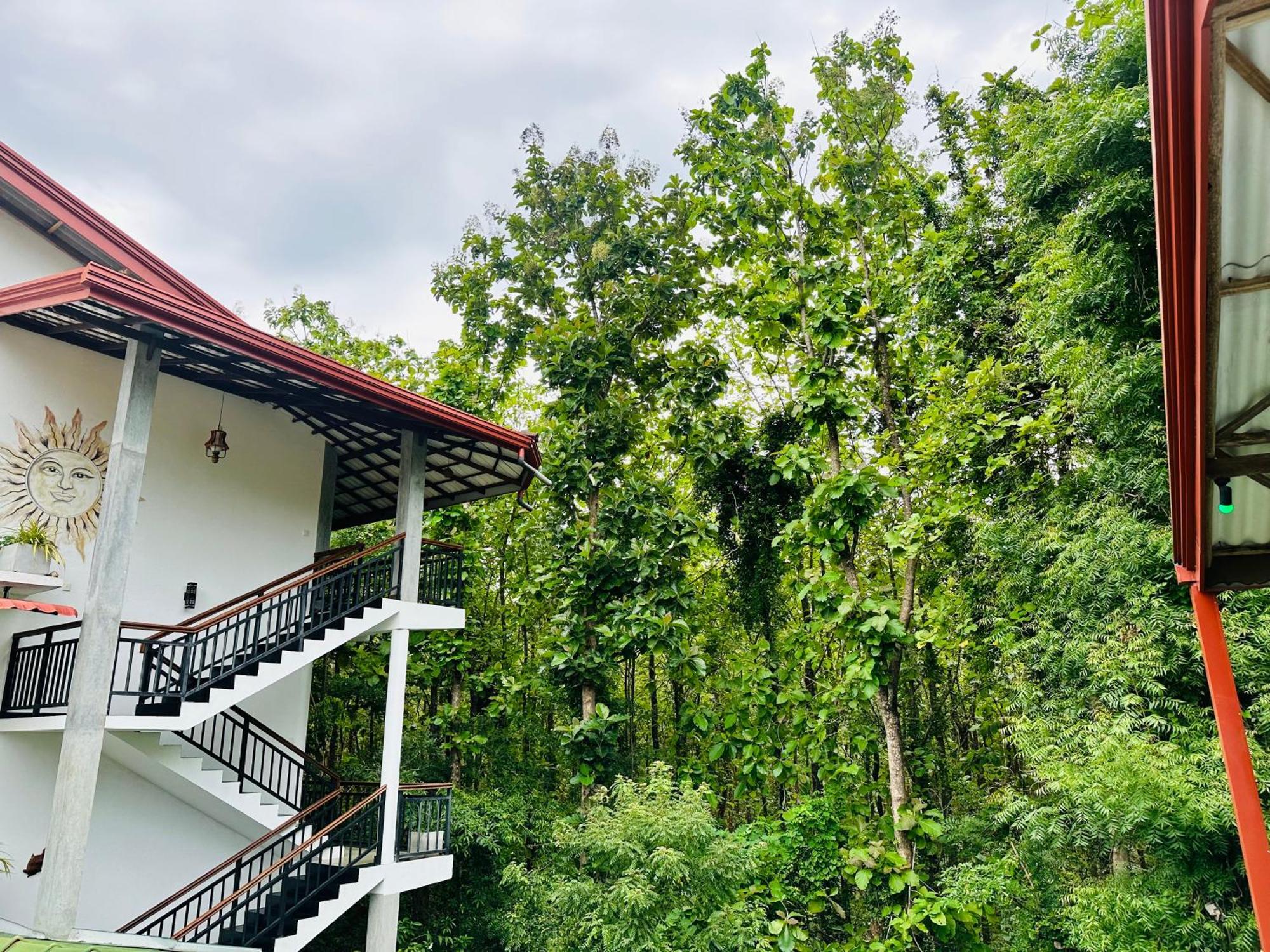 Nature House 우다왈라웨 외부 사진