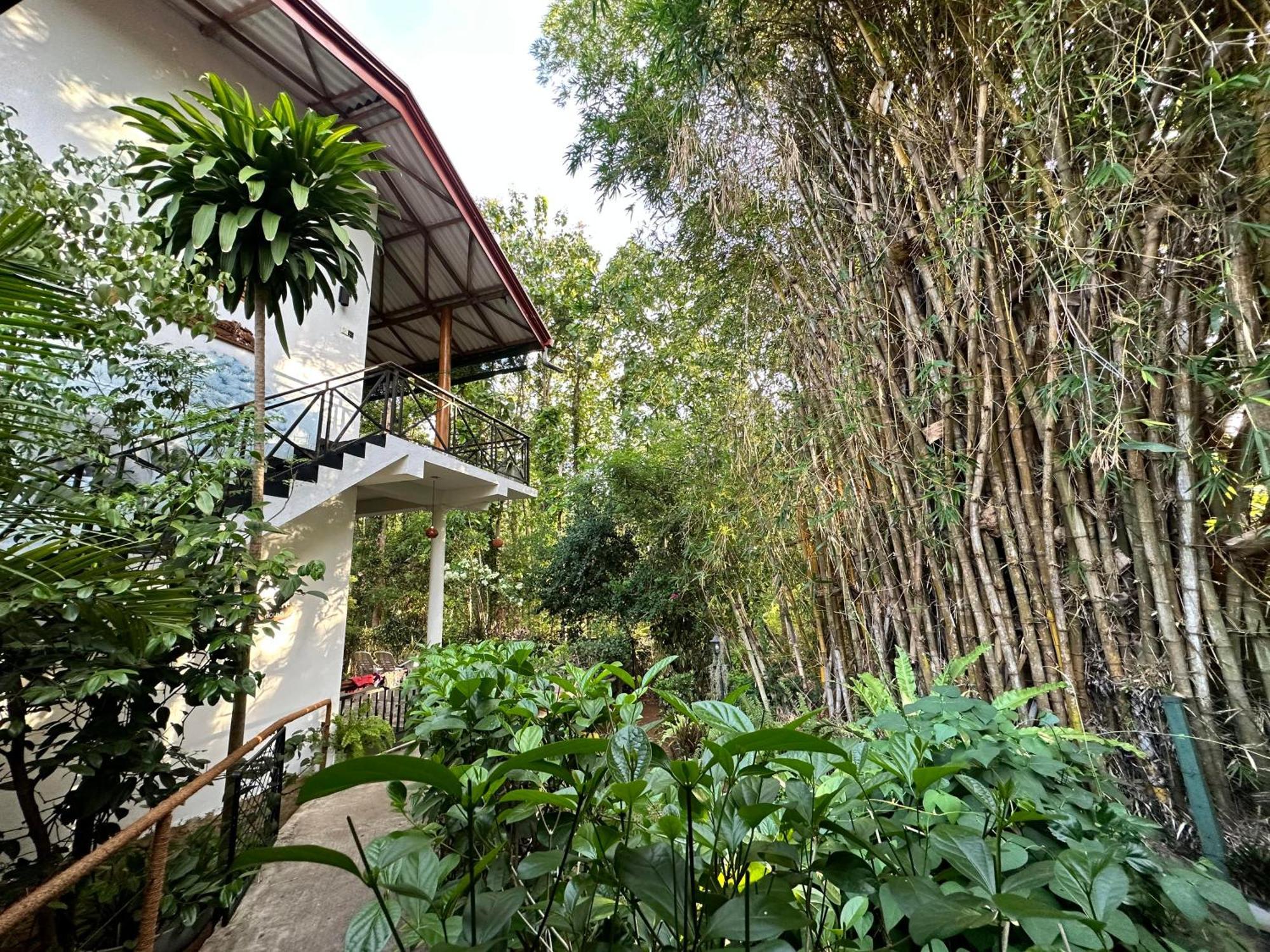 Nature House 우다왈라웨 외부 사진